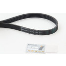 ContiTech | Keilrippenriemen | 5PK1105