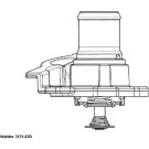 Wahler | Thermostat, Kühlmittel | 3171.82D