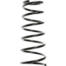 Spidan | Fahrwerksfeder | 55490