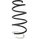 Spidan | Fahrwerksfeder | 87458