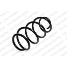 4072947 Fahrwerksfeder