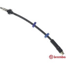 Brembo | Bremsschlauch | T 23 027 Brembo | Bremsschlauch | T 23 027