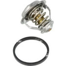 NRF | Thermostat, Kühlmittel | 725140