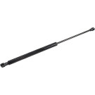 2110648 Gasfeder, Koffer-/Laderaum