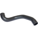 2420423 Kühlerschlauch