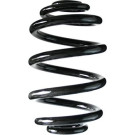 Spidan | Fahrwerksfeder | 86790