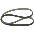 1 987 946 291 Keilrippenriemen