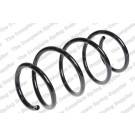 4072978 Fahrwerksfeder