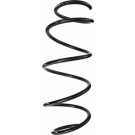 Spidan | Fahrwerksfeder | 87395