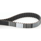 ContiTech | Zahnriemen | CT803