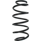Spidan | Fahrwerksfeder | 87598