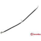 Brembo | Bremsschlauch | T 28 121