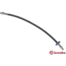 Brembo | Bremsschlauch | T 85 045