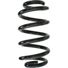 Spidan | Fahrwerksfeder | 88927