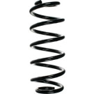 Spidan | Fahrwerksfeder | 49496