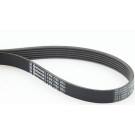 ContiTech | Keilrippenriemen | 6PK1750