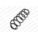 4215607 Fahrwerksfeder