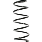 Spidan | Fahrwerksfeder | 49516
