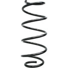 Spidan | Fahrwerksfeder | 86812
