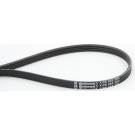 ContiTech | Keilrippenriemen | 4PK855 ContiTech | Keilrippenriemen | 4PK855