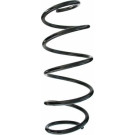 Spidan 2 x SPIDAN Fahrwerksfeder 87320