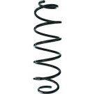 Spidan | Fahrwerksfeder | 87728