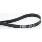 ContiTech | Keilrippenriemen | 6PK1613 ContiTech | Keilrippenriemen | 6PK1613