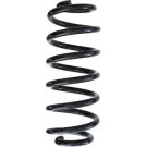 Spidan | Fahrwerksfeder | 87479