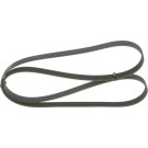 BOSCH | Keilrippenriemen | 1 987 947 981