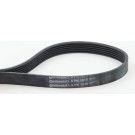 ContiTech | Keilrippenriemen | 6PK1515
