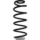 Spidan | Fahrwerksfeder | 87366