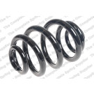 5295050 Fahrwerksfeder