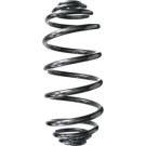 Spidan | Fahrwerksfeder | 87222