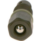BOSCH | Ventil, Einspritzanlage | F 01M 100 749