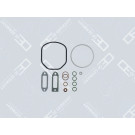 OE Germany | Dichtungssatz, Zylinderkopf | 04 3004 910000