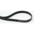 ContiTech | Keilrippenriemen | 6PK1244