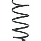 Spidan | Fahrwerksfeder | 87209
