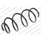 4095109 Fahrwerksfeder