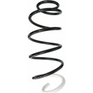 Spidan | Fahrwerksfeder | 87717