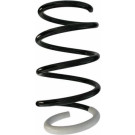 Spidan | Fahrwerksfeder | 87725