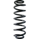 Spidan 2 x SPIDAN Fahrwerksfeder 87350