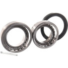 SKF | Radlagersatz | VKBA 1985 SKF | Radlagersatz | VKBA 1985