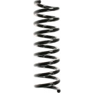 Spidan | Fahrwerksfeder | 49702