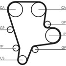 CT1122 Zahnriemen CT1122 Zahnriemen
