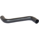 2420373 Kühlerschlauch