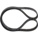 1 987 949 591 Zahnriemen 1 987 949 591 Zahnriemen