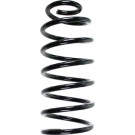 Spidan | Fahrwerksfeder | 56890