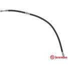 Brembo | Bremsschlauch | T 56 150