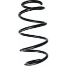 Spidan | Fahrwerksfeder | 87704