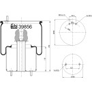 FEBI BILSTEIN 39856 Federbalg, Luftfederung FEBI BILSTEIN 39856 Federbalg, Luftfederung